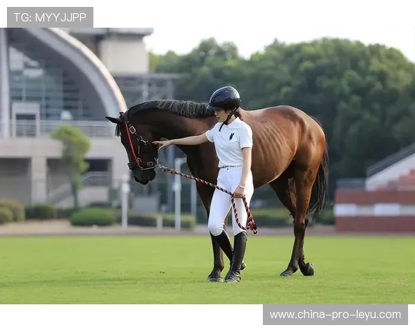 瑞士马术协会设立马匹福利基金,支持马匹退休生活。,瑞典马术队 瑞士马术协会设立马匹福利基金,支持马匹退休生活。,瑞典马术队